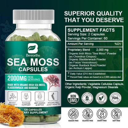 Organic Sea Moss